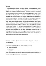 Referāts 'Lielbritānijas dzīve starpkaru periodā', 2.
