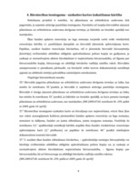 Referāts 'Būvniecības likuma grozījumi', 8.