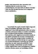 Referāts 'Peru', 29.