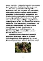 Referāts 'Peru', 38.