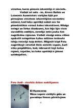 Referāts 'Peru', 62.