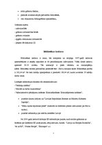 Referāts 'Balvu rajona centrālā bibliotēka', 7.