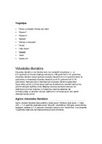 Konspekts 'Viduslaiku un renesanses literatūra', 2.