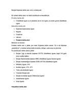 Konspekts 'Eiropas Savienības tiesību ieviešana ikdienā', 2.