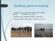 Prezentācija 'Epidēmija', 5.