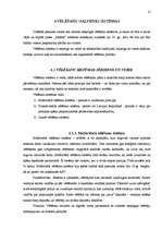 Referāts 'Vēlēšanu tiesību institūts', 12.