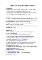 Referāts 'Vēlēšanu tiesību institūts', 17.