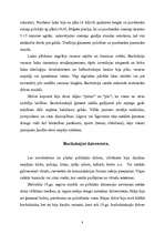 Referāts 'Buržuā tēls. Jēdziens un buržuāzistiskās dzīves pamatelementi', 8.