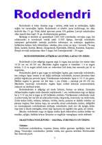 Referāts 'Vasarzaļie rododendri', 2.