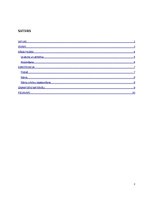 Referāts 'Rāmji - pildiņi', 2.