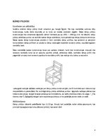 Referāts 'Rāmji - pildiņi', 4.