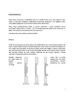 Referāts 'Rāmji - pildiņi', 7.