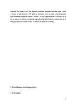 Referāts 'Daudzlīmeņu mārketings', 6.