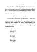 Referāts 'A/s "Tipogrāfija Liepāja"', 7.