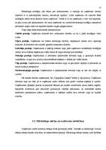 Referāts 'A/s "Tipogrāfija Liepāja"', 12.