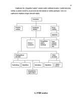 Referāts 'A/s "Tipogrāfija Liepāja"', 19.