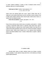 Referāts 'A/s "Tipogrāfija Liepāja"', 30.