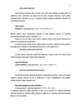 Referāts 'A/s "Tipogrāfija Liepāja"', 31.