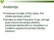 Prezentācija 'Jaunievedumi tehnikā un sadzīvē renesanses laikmetā', 6.