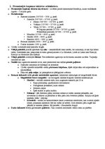 Konspekts 'Atbildes uz eksāmena jautājumiem amatniecības un mākslas vēsturē', 3.