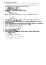 Konspekts 'Atbildes uz eksāmena jautājumiem amatniecības un mākslas vēsturē', 21.