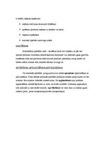 Konspekts 'Termiskā apstrāde un tās veidi', 3.