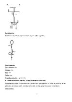 Prakses atskaite 'Pacienta vēsture fizioterapijas studentiem - bērnu cerebrālā trieka, hemiparēze', 3.