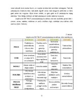 Diplomdarbs 'Pārdošanas procesu vadība mazumtirdzniecības uzņēmumā', 51.