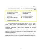 Diplomdarbs 'Pārdošanas procesu vadība mazumtirdzniecības uzņēmumā', 58.