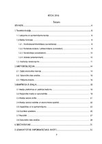 Referāts 'Mediju lietojuma paradumu salīdzinājums starp Kocēnu novada un Rīgas iedzīvotāji', 2.