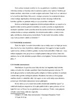 Referāts 'Mediju lietojuma paradumu salīdzinājums starp Kocēnu novada un Rīgas iedzīvotāji', 11.