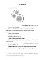 Referāts 'Mediju lietojuma paradumu salīdzinājums starp Kocēnu novada un Rīgas iedzīvotāji', 36.