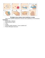 Konspekts 'Stomas', 5.