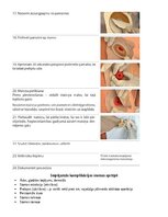 Konspekts 'Stomas', 8.