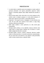 Prakses atskaite 'Grāmatvedības prakses atskaite', 33.