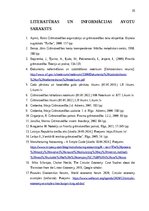 Prakses atskaite 'Grāmatvedības prakses atskaite', 34.