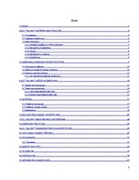 Referāts 'AS "Tallink" uzņēmuma darbības pētījums', 2.