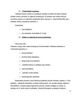 Referāts 'AS "Tallink" uzņēmuma darbības pētījums', 10.