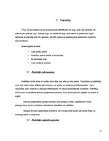 Referāts 'AS "Tallink" uzņēmuma darbības pētījums', 17.