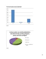 Referāts 'AS "Tallink" uzņēmuma darbības pētījums', 42.