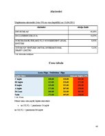Referāts 'AS "Tallink" uzņēmuma darbības pētījums', 46.