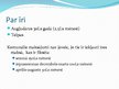 Prezentācija 'Biznesa plāna prezentācija augļu pārstrādes uzņēmumam SIA "Natural AB"', 10.
