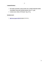 Referāts 'Policijas darbības efektivitāte noziedzības novēršanā', 17.