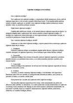 Konspekts 'Loģistikas stratēģija un tās ieviešana', 1.