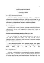 Referāts 'Informācijas avots www.liaa.gov.lv', 6.