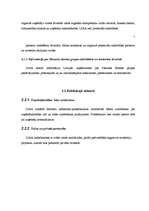 Referāts 'Informācijas avots www.liaa.gov.lv', 7.