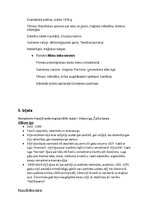 Konspekts 'Pasaules literatūras vēsture 19.gadsimtā. Eksāmena atbildes', 13.