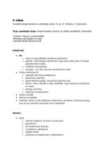 Konspekts 'Pasaules literatūras vēsture 19.gadsimtā. Eksāmena atbildes', 22.