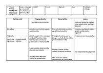 Prakses atskaite 'Kvalifikācijas prakse pirmsskolas izglītības iestādē', 19.