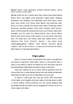 Konspekts 'Modes veikala atvēršana', 4.